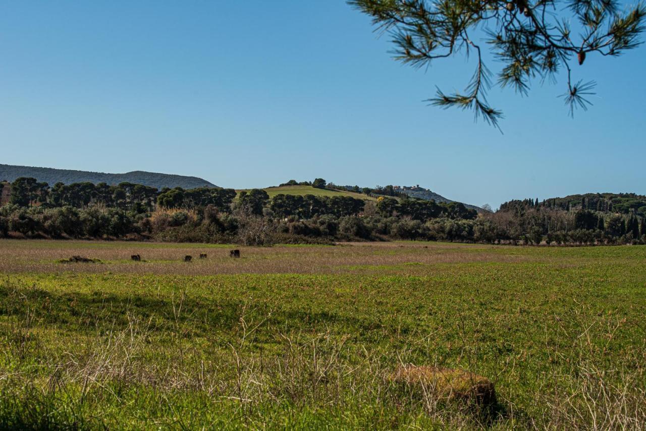 Poggio All'Agnello Sport & Active Holidays Populonia Kültér fotó